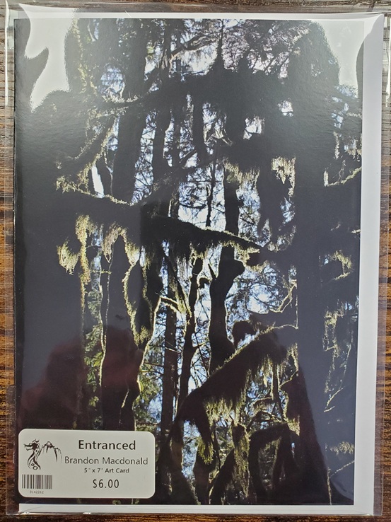 Art Card 5 x 7 by Brandon Macdonald - Image 9