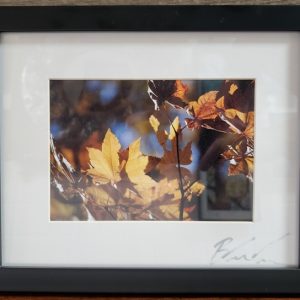 Entropy by Brandon Macdonald