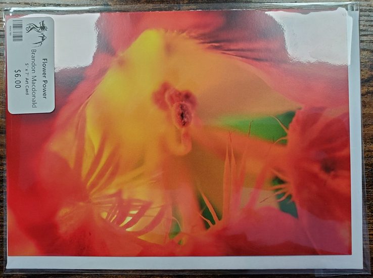 Art Card 5 x 7 by Brandon Macdonald - Image 8