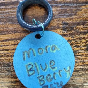 Mora Blueberry Ring by Alissa Penney