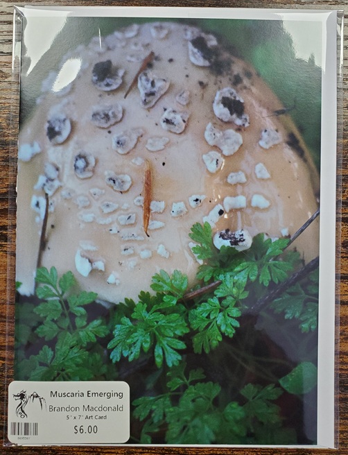 Art Card 5 x 7 by Brandon Macdonald - Image 12
