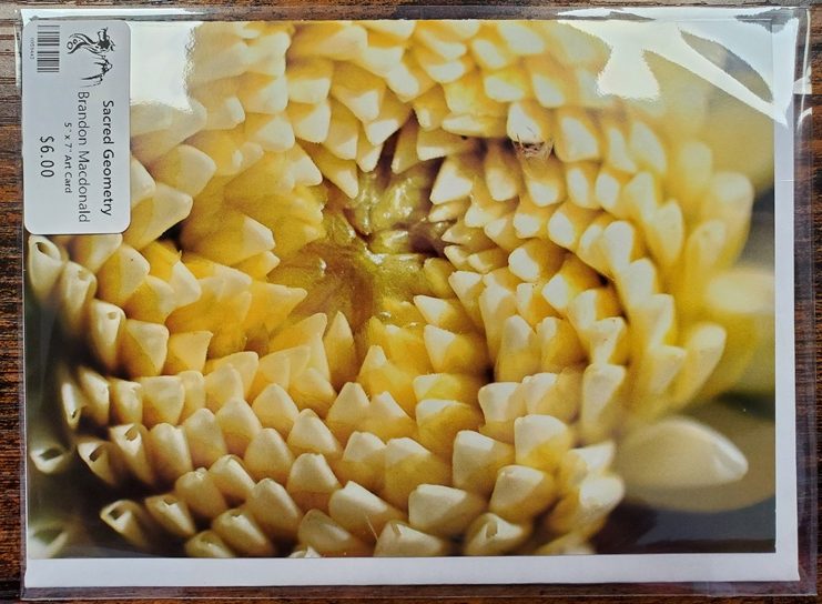 Art Card 5 x 7 by Brandon Macdonald - Image 6