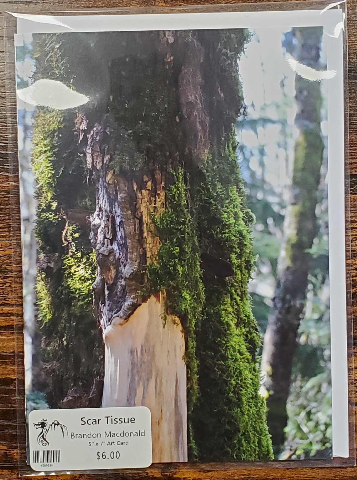 Art Card 5 x 7 by Brandon Macdonald - Image 13
