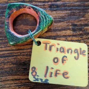 Triangle of Life Ring by Alissa Penney