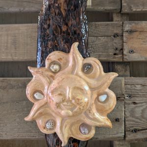 Driftwood Sun by Carol Bartels