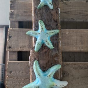 Blue Starfish 3 by Carol Bartels
