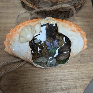 Faerie Crab by Carol Bartels