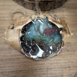 Mermaid Crab by Carol Bartels
