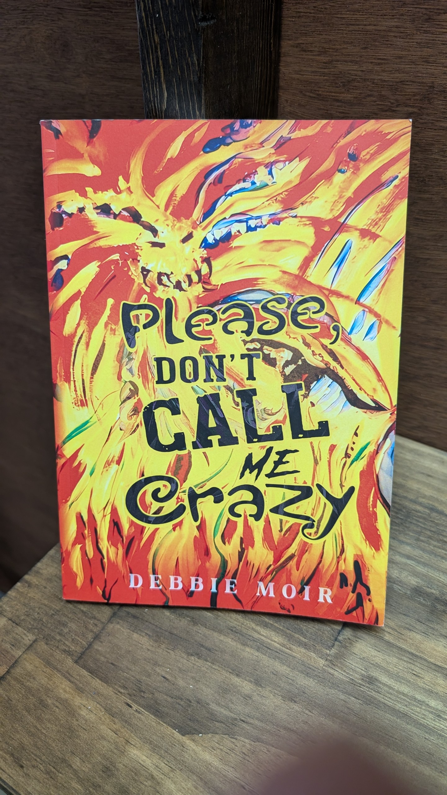 Please Dont Call Me Crazy by Debbie Moir