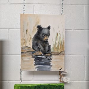 Little Black Bear by Shelley Clarke