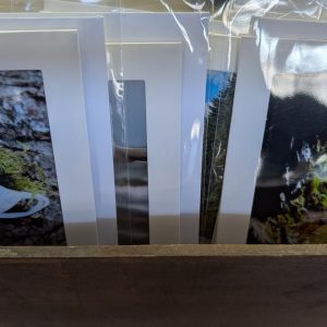 Art Card 4 x 6 by Lori Roberts