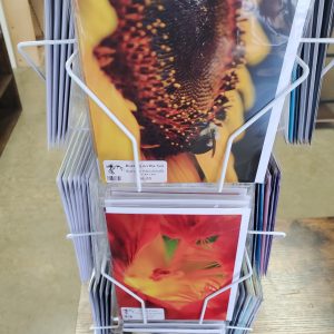 Art Card 5 x 7 by Brandon Macdonald