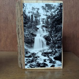 Grizzly Falls by Lori Roberts