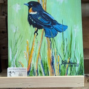 Red Winged Blackbird by Jeanette Heathman