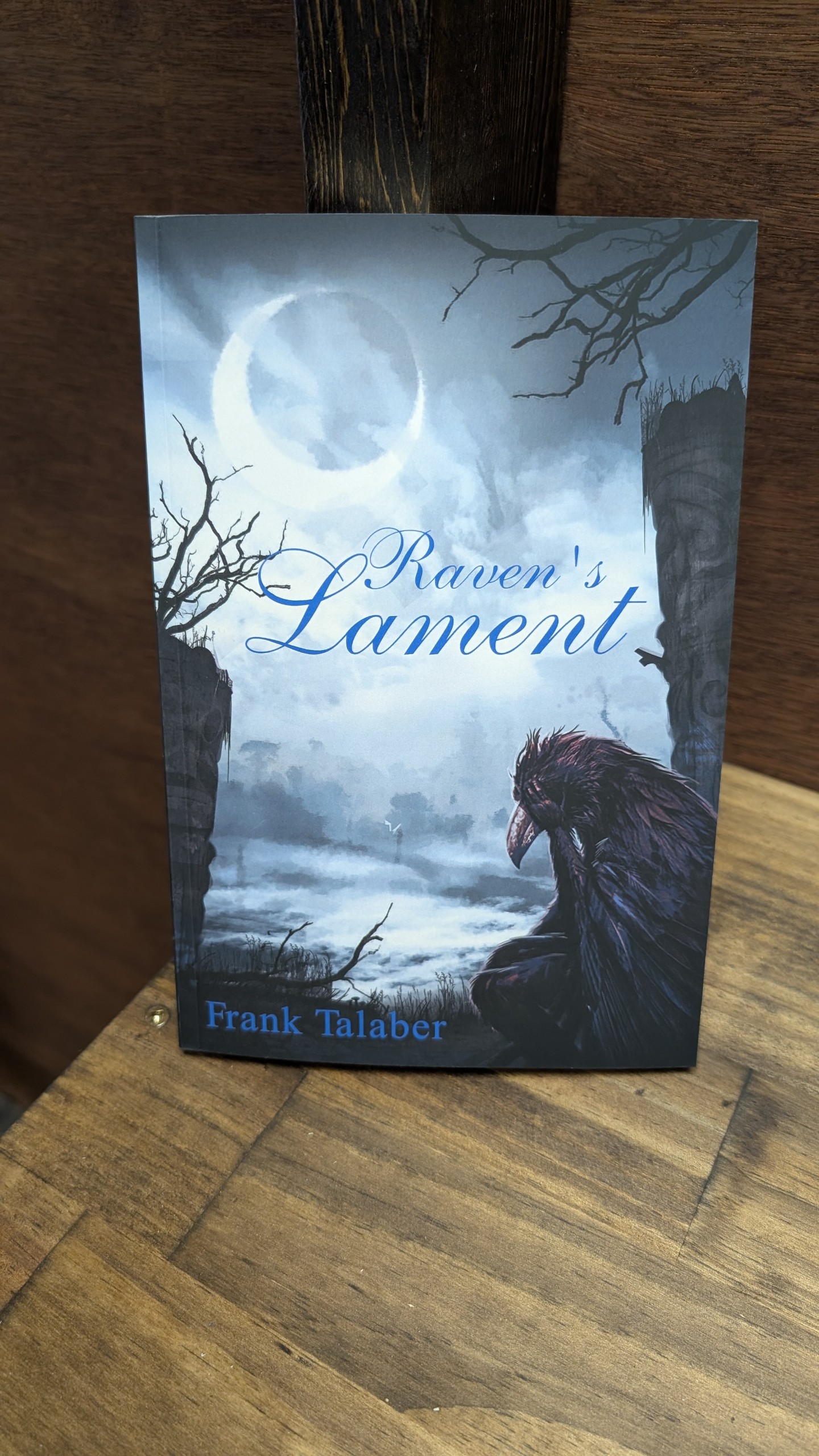 Ravens Lament: Stillwaters Runs Deep Book 1 by Frank Talaber