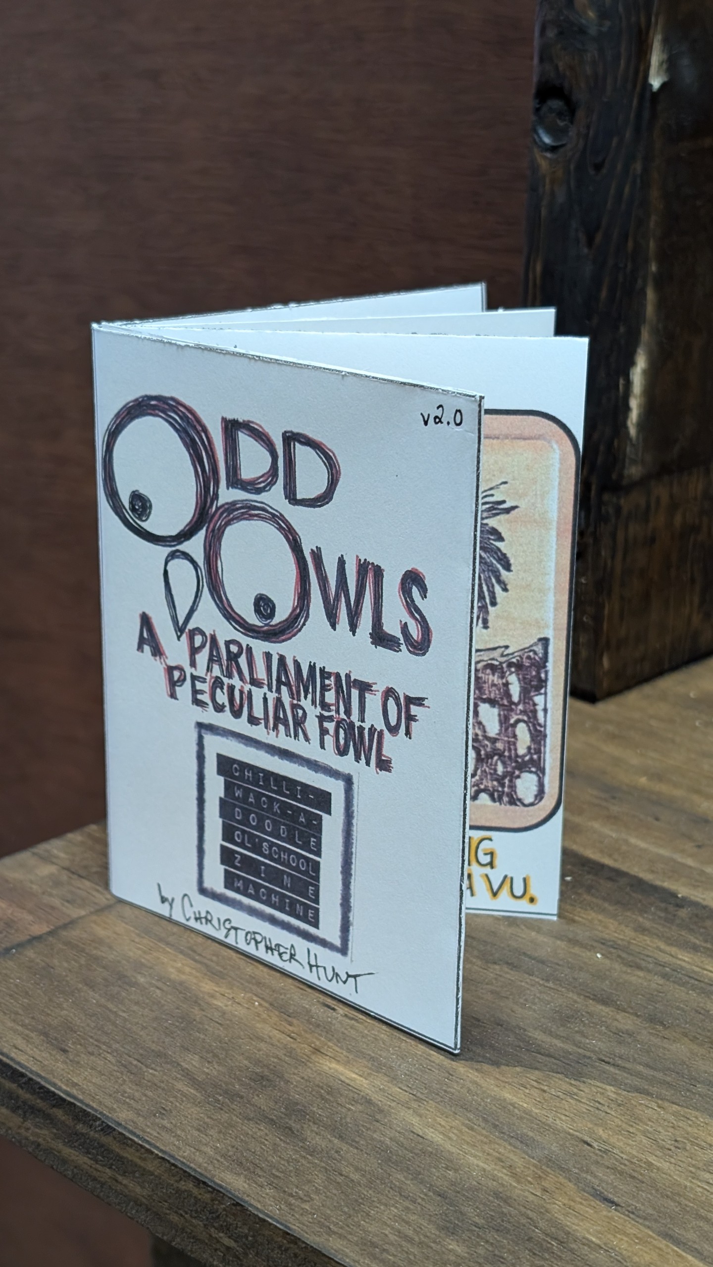 Odd Owls Zine by Chilliwackadoodle
