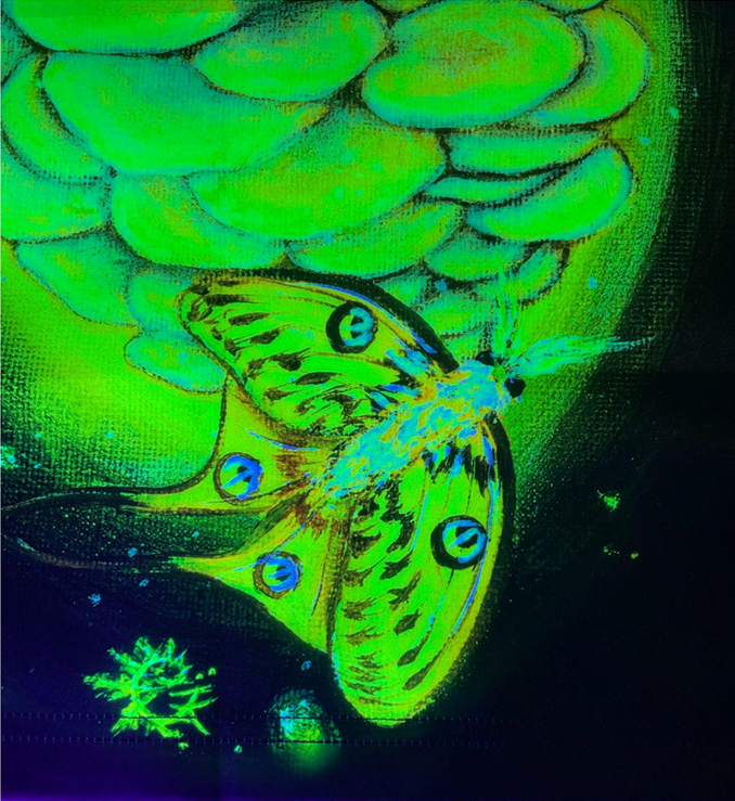 Satin Blacklight Fluorescent Tapestries by Iridescent Fern - Image 9