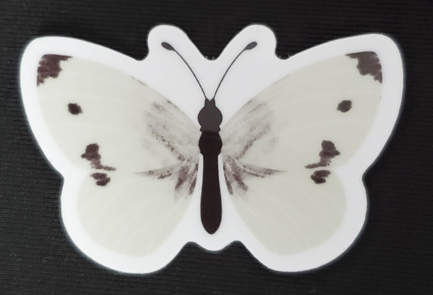 Moth & Butterfly Stickers by Rinbalt Art - Image 2