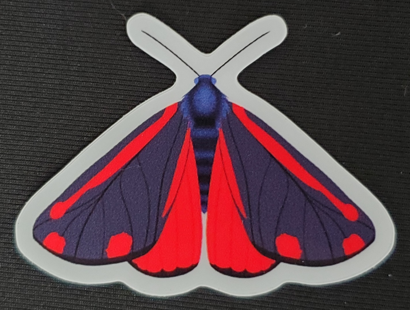 Moth & Butterfly Stickers by Rinbalt Art - Image 3