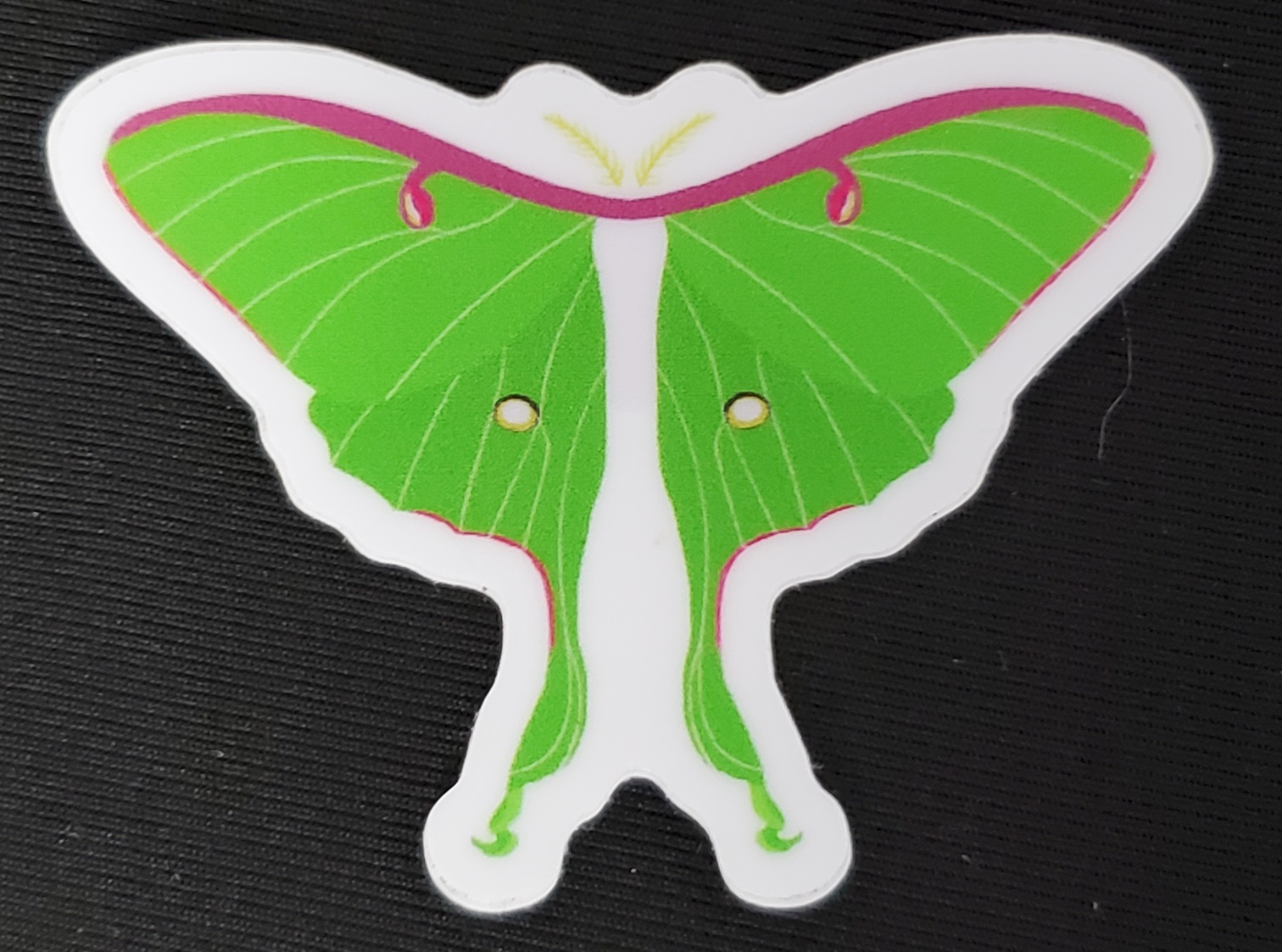Moth & Butterfly Stickers by Rinbalt Art - Image 5