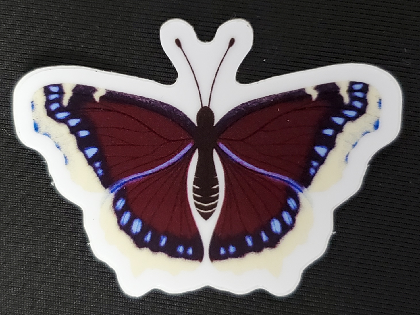 Moth & Butterfly Stickers by Rinbalt Art - Image 7