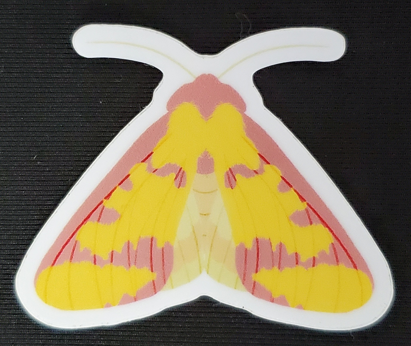 Moth & Butterfly Stickers by Rinbalt Art - Image 8