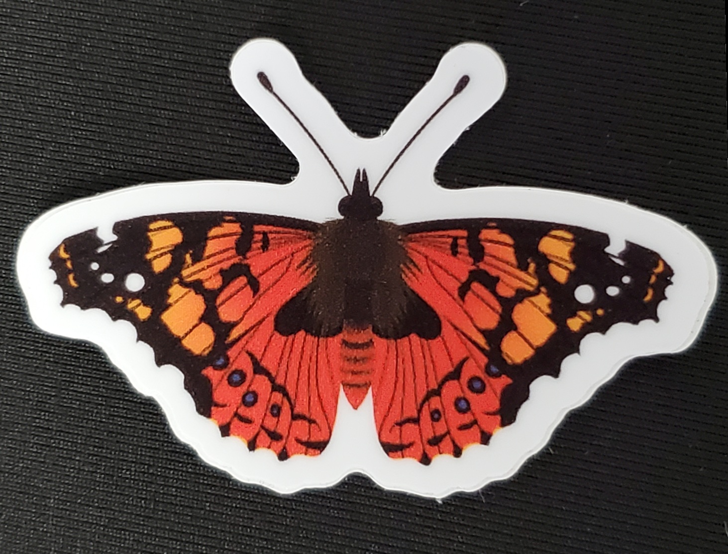 Moth & Butterfly Stickers by Rinbalt Art - Image 11