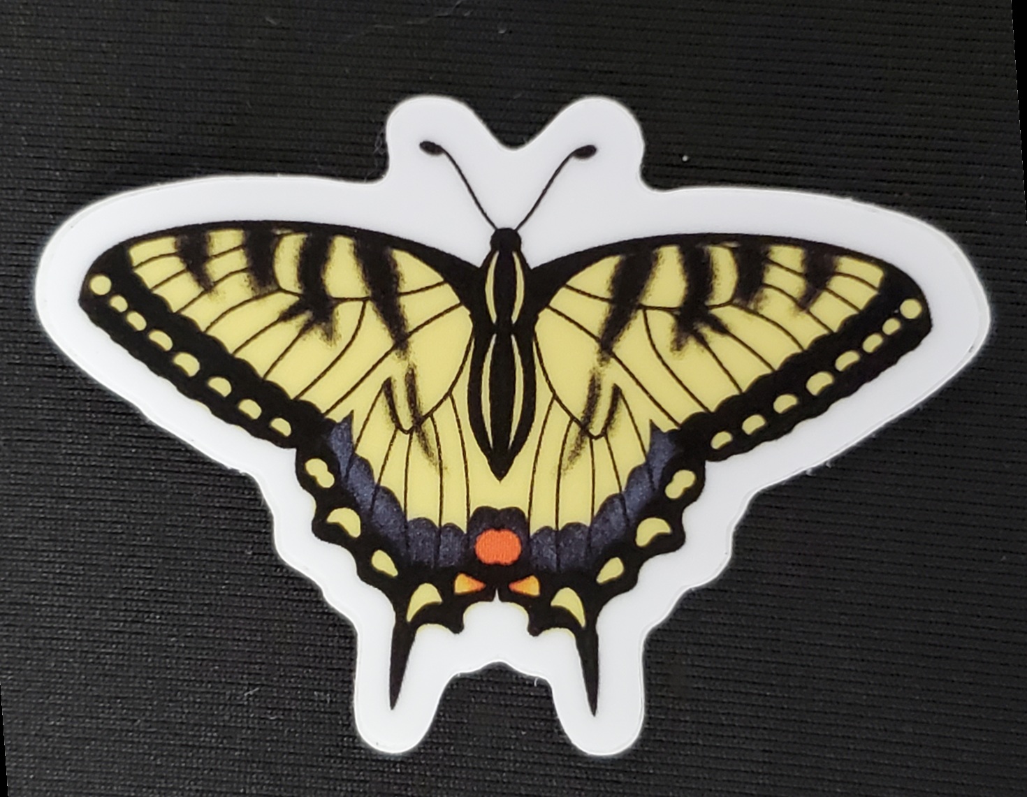 Moth & Butterfly Stickers by Rinbalt Art - Image 13