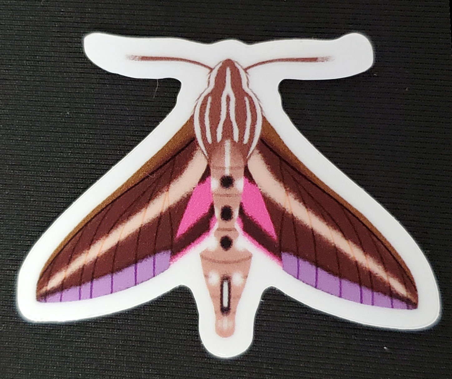 Moth & Butterfly Stickers by Rinbalt Art - Image 10