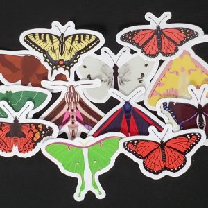 Moth & Butterfly Stickers by Rinbalt Art