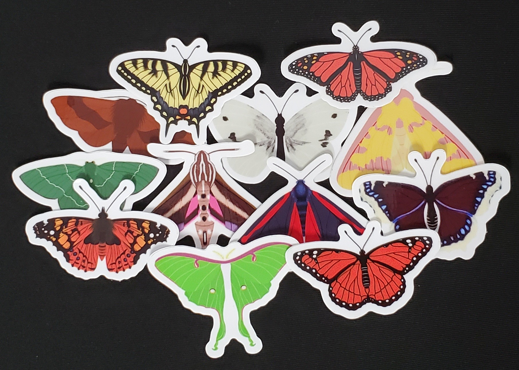 Moth & Butterfly Stickers by Rinbalt Art